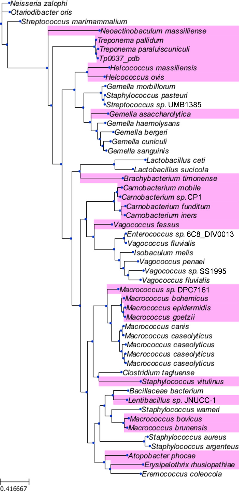 FIG 6