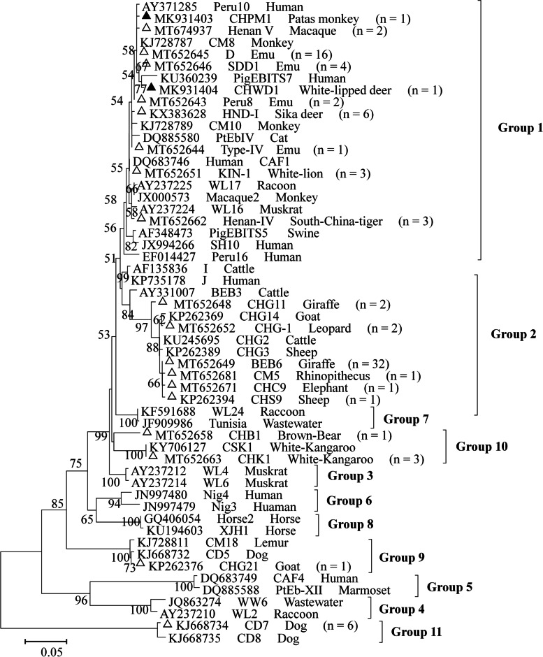 Fig. 2