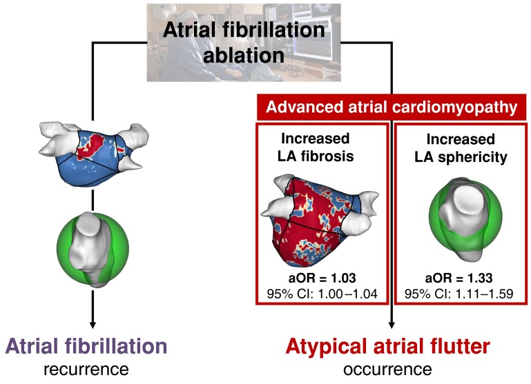 Graphical Abstract