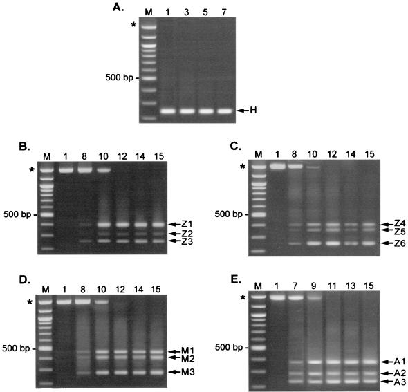 FIG. 5