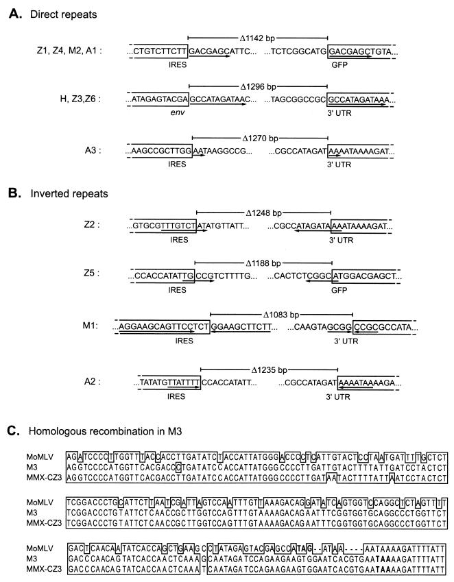 FIG. 6