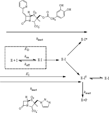 FIGURE 9.