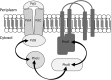 FIG 1
