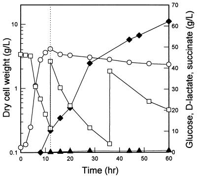 FIG. 5