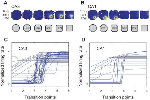 Fig. 11.