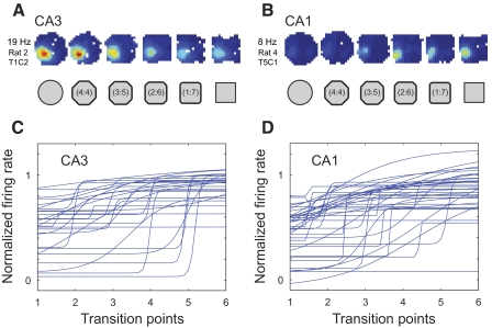 Fig. 6.