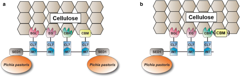 Fig. 1