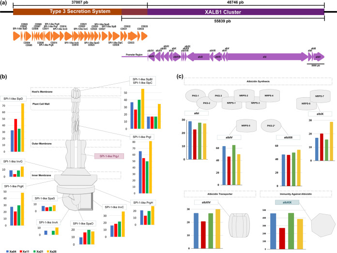 FIG 6