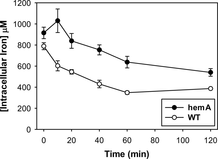 FIG. 5.