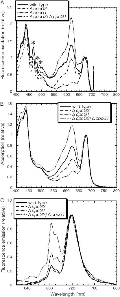 Figure 3.