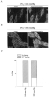 Fig. 9