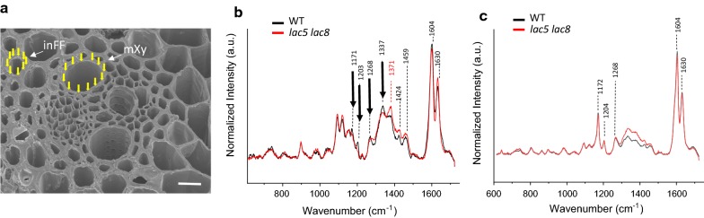 Fig. 6