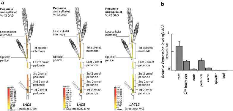 Fig. 1