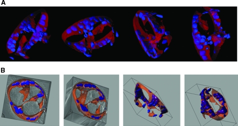 FIG. 2.