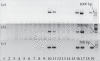 Figure 2.