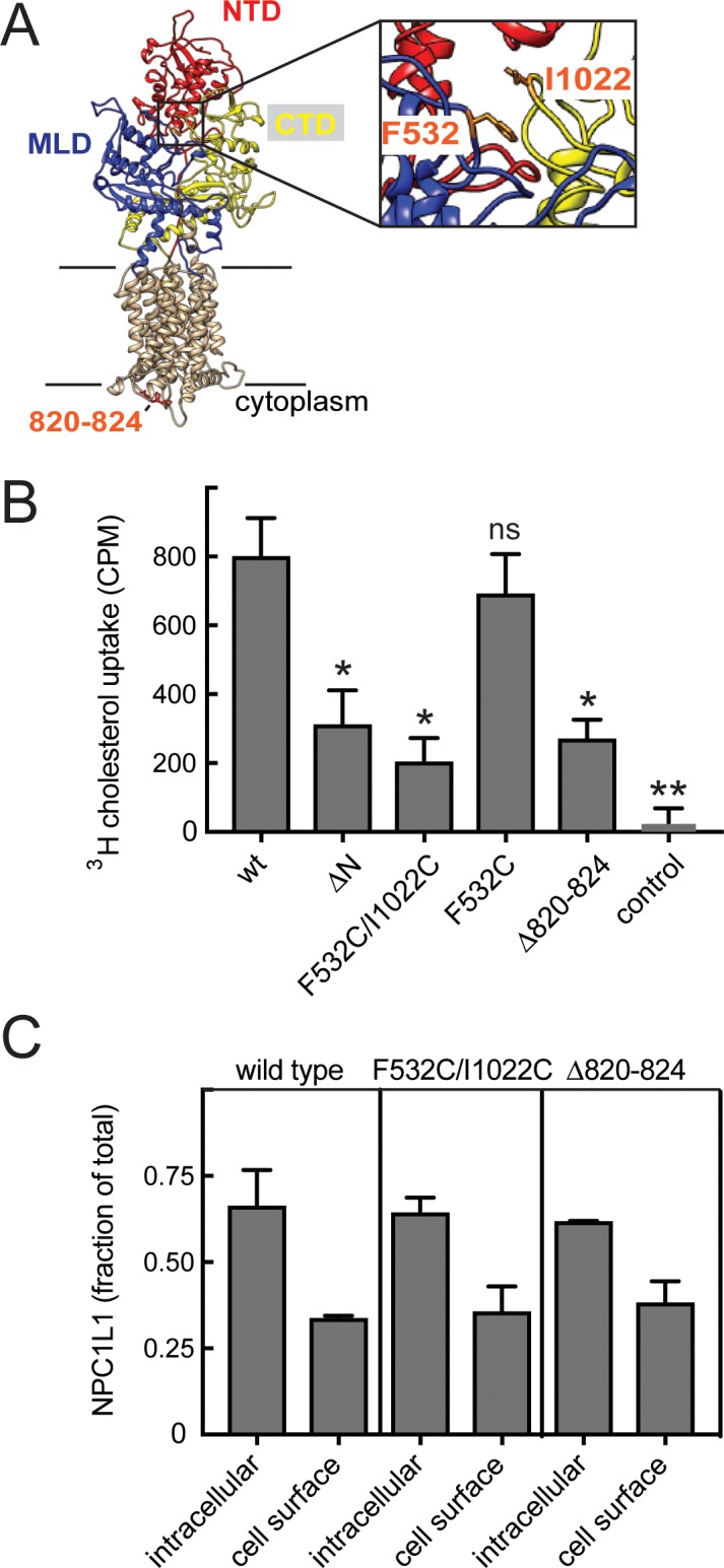 Figure 6.