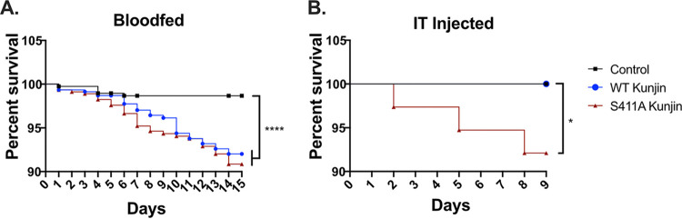 FIG 6