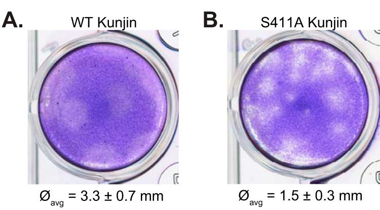 FIG 3