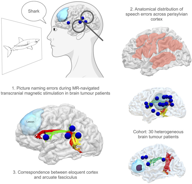 Graphical Abstract