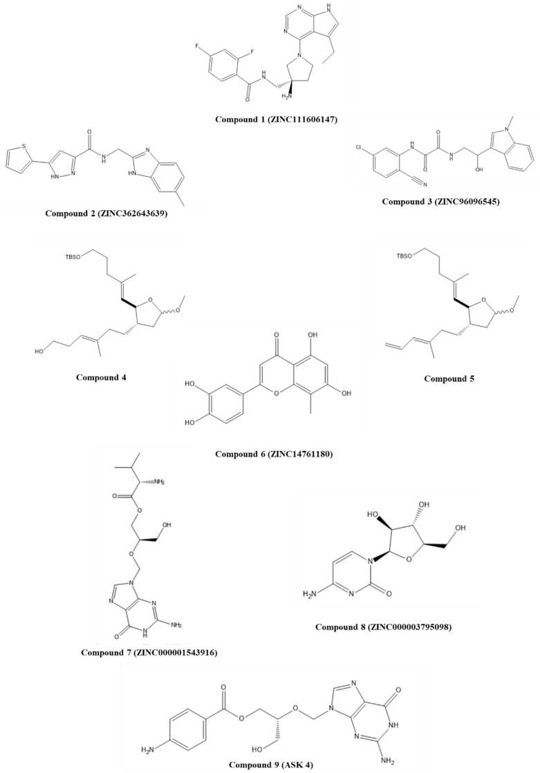 Figure 2