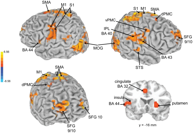 Figure 6