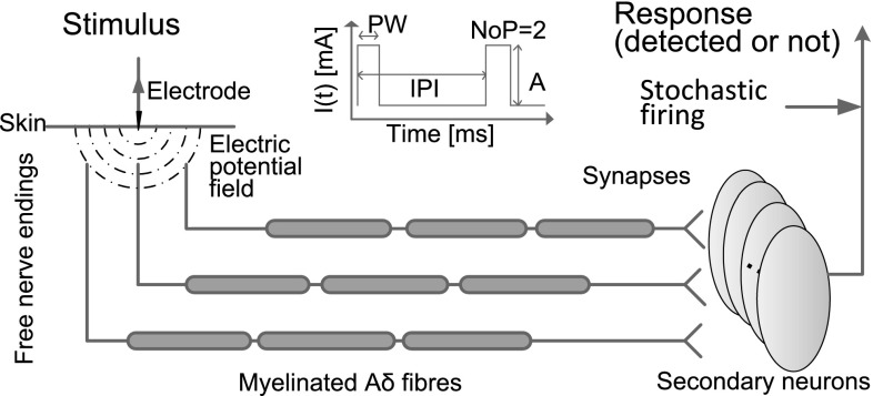 Fig. 2