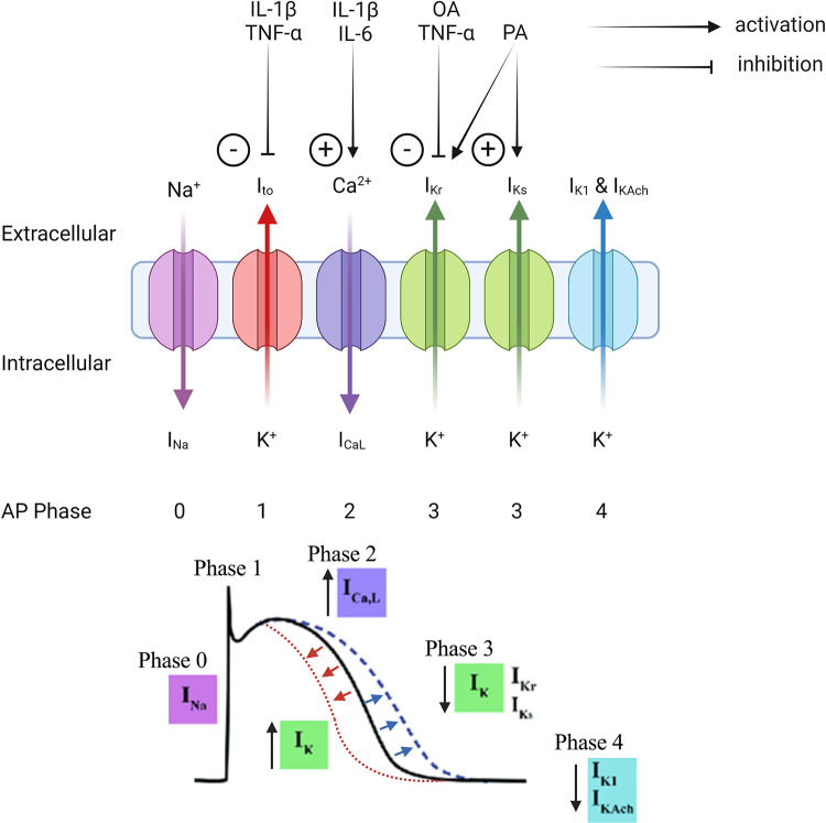 Figure 3.