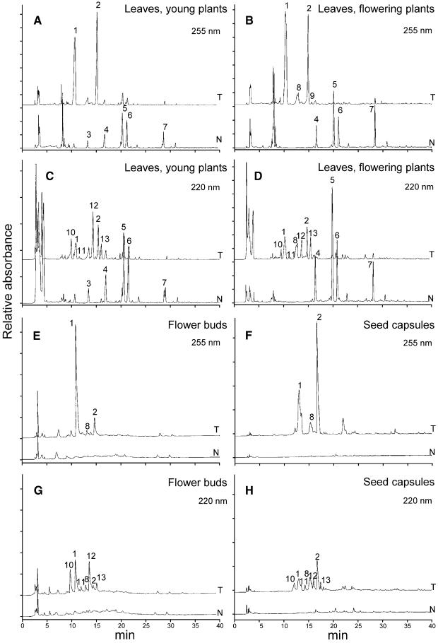 Figure 6.