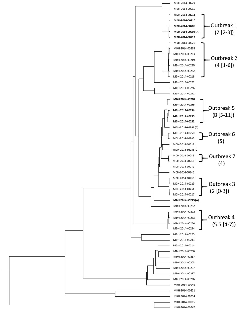 FIGURE 2