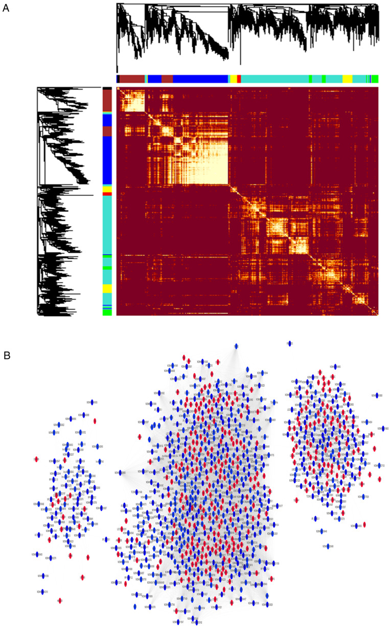 Figure 3.