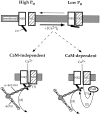 Fig. 10.