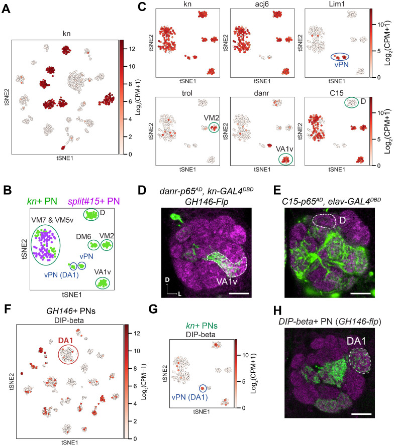 Figure 2—figure supplement 3.