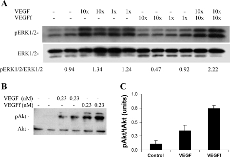 Fig. 8.