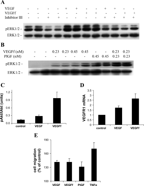 Fig. 9.