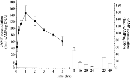 FIG. 1