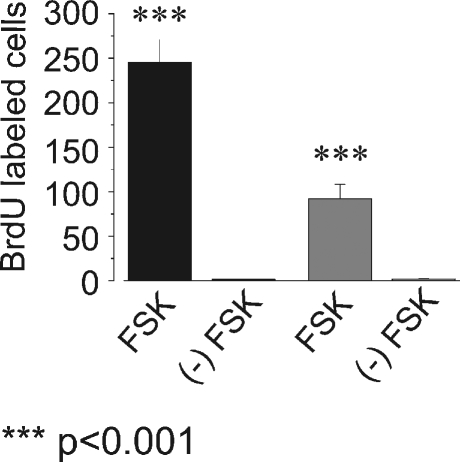 FIG. 7