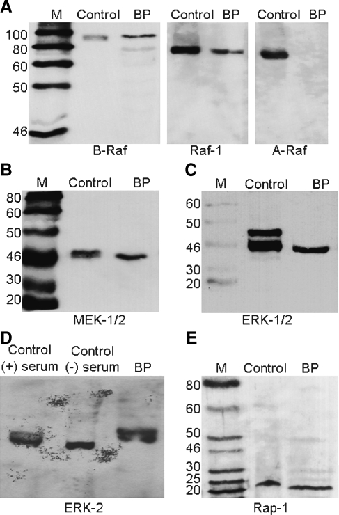 FIG. 5