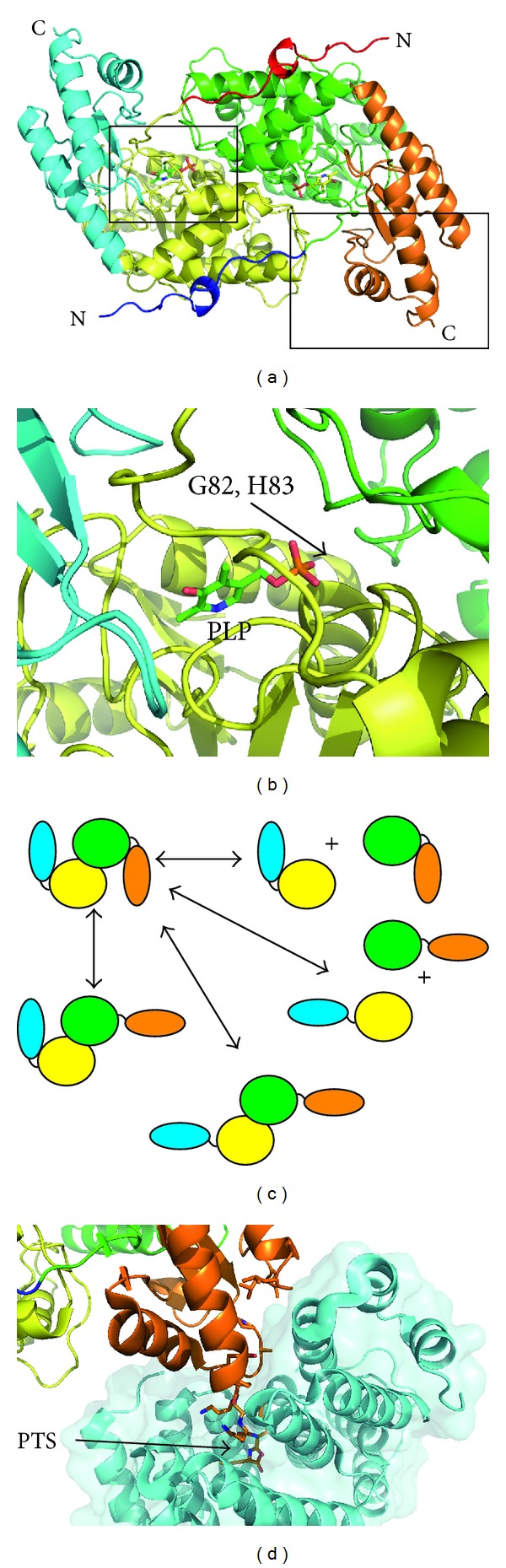 Figure 2