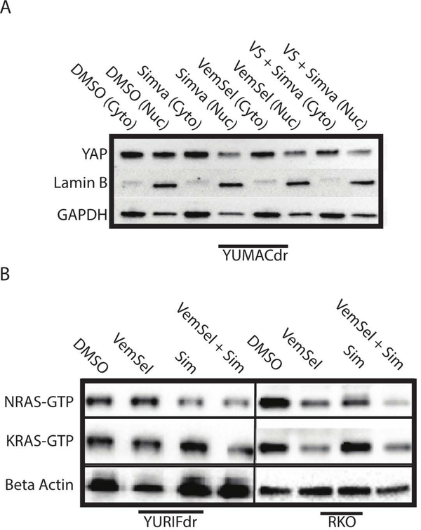 Figure 5: