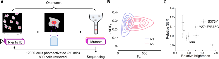 Figure 6