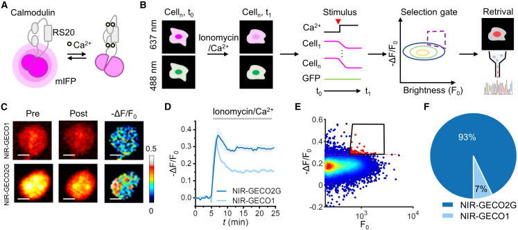 Figure 3