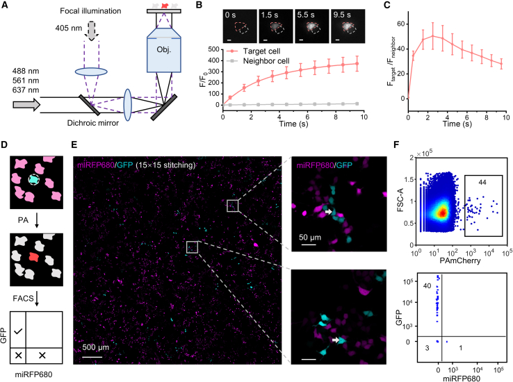 Figure 1