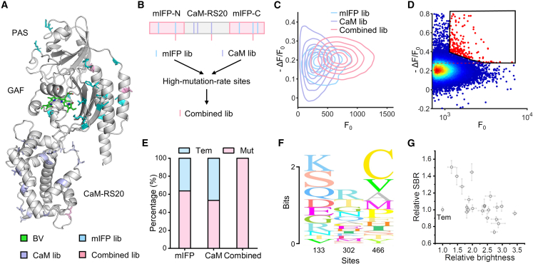 Figure 4