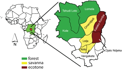 Fig. 2.