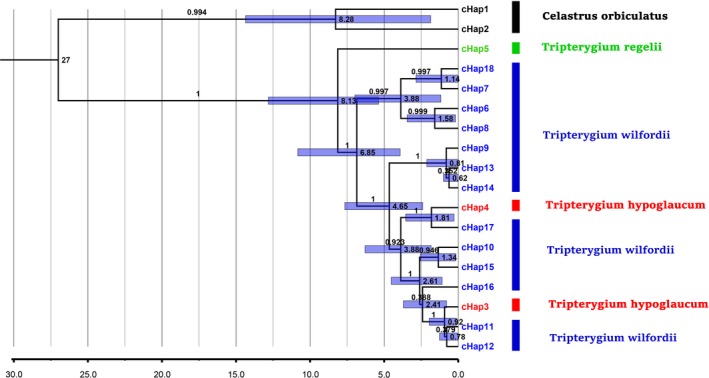 Figure 4