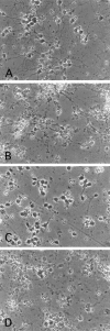 Fig. 8.