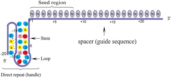 Fig. 3