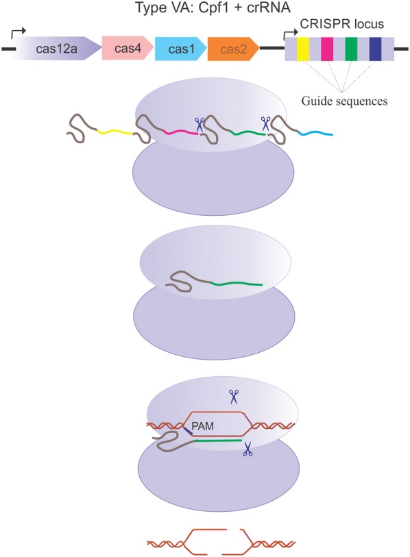 Fig. 2