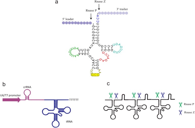 Fig. 4