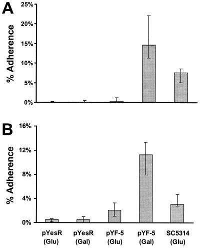 FIG. 1